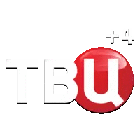 ТВ Центр +4